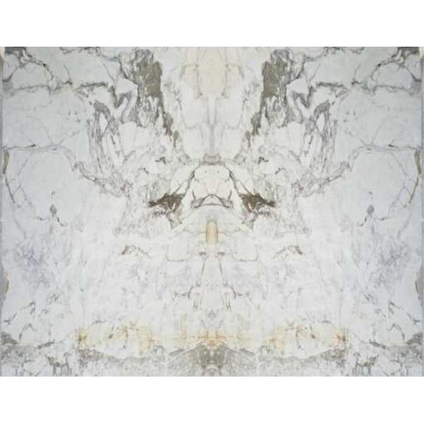 Fantasy White Marble